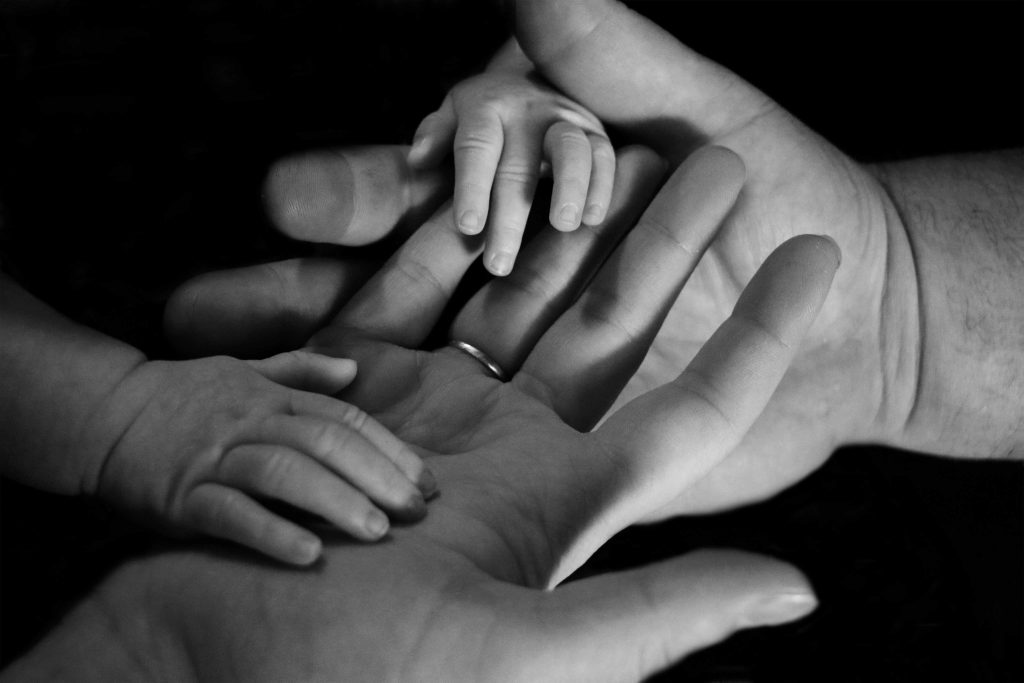 due mani grandi di mamma e papà accolgono le mani del loro figlio