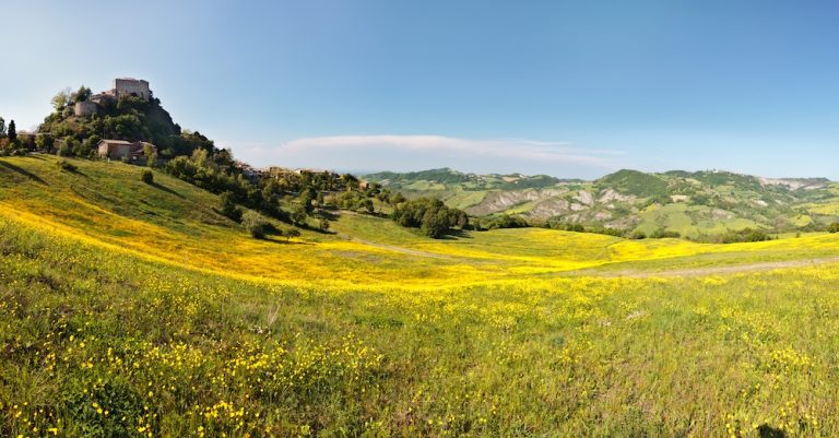 castello di Canossa in estate con tanti fiori