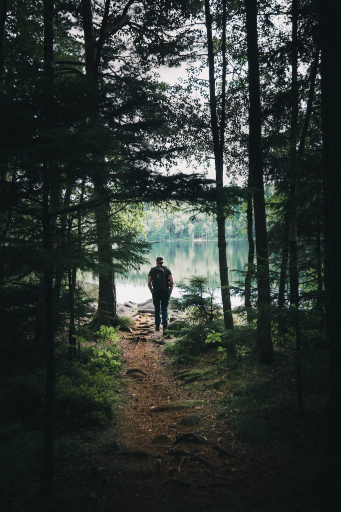 uomo cammina su un sentiero in un bosco vista lago