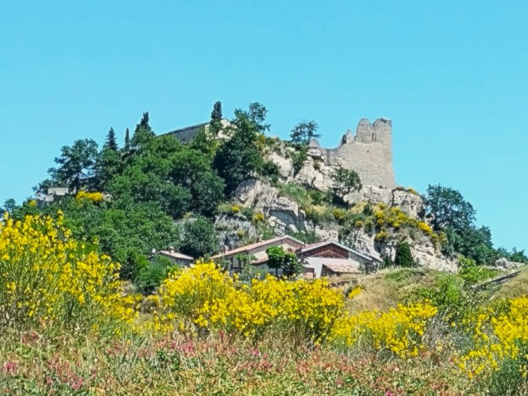 castello di Canossa in estate