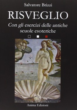 copertina libro sulla presenza: risveglio