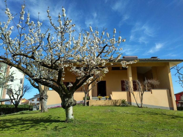 casa di campagna con un albero di ciliegio di fronte. Sarà la sede delle costellazioni familiari nel parmense e del modulo del seminario sulla morte