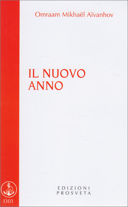 copertina del libro: il nuovo anno.