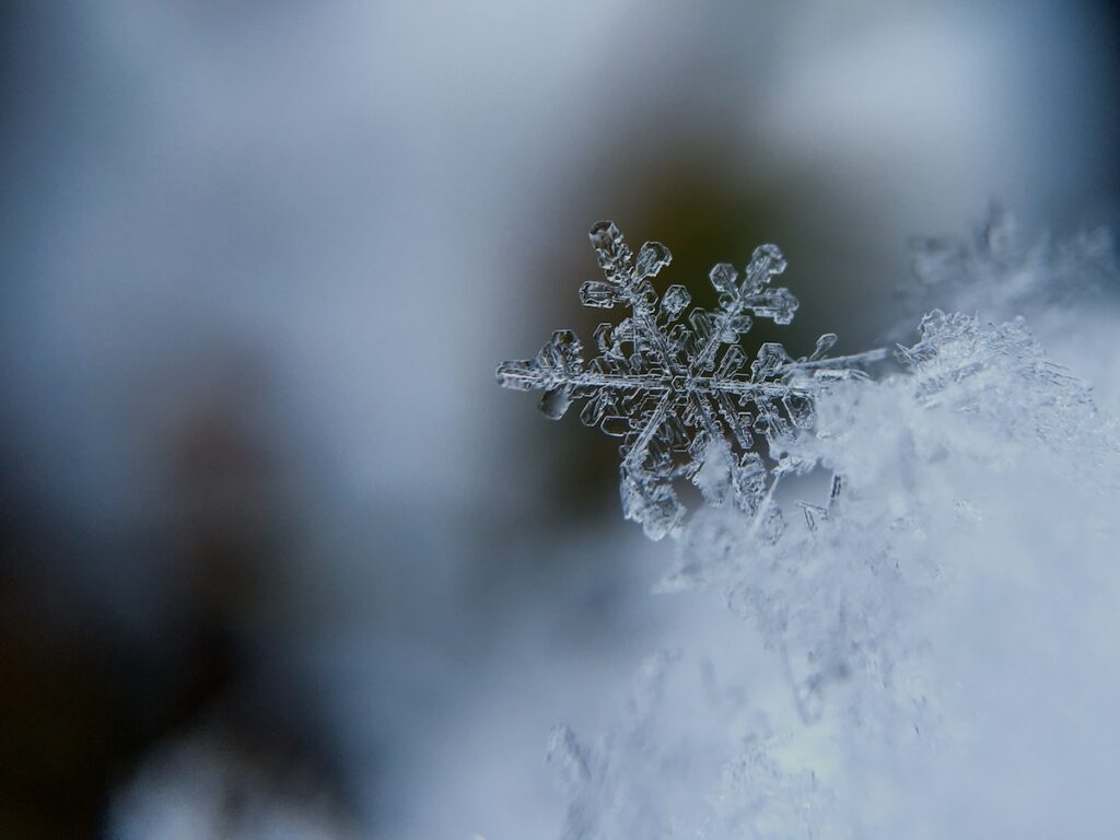 fiocco di neve in primo piano