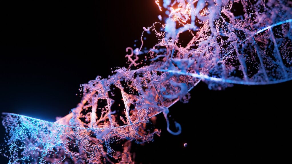 immagina di un doppio filamento di DNA