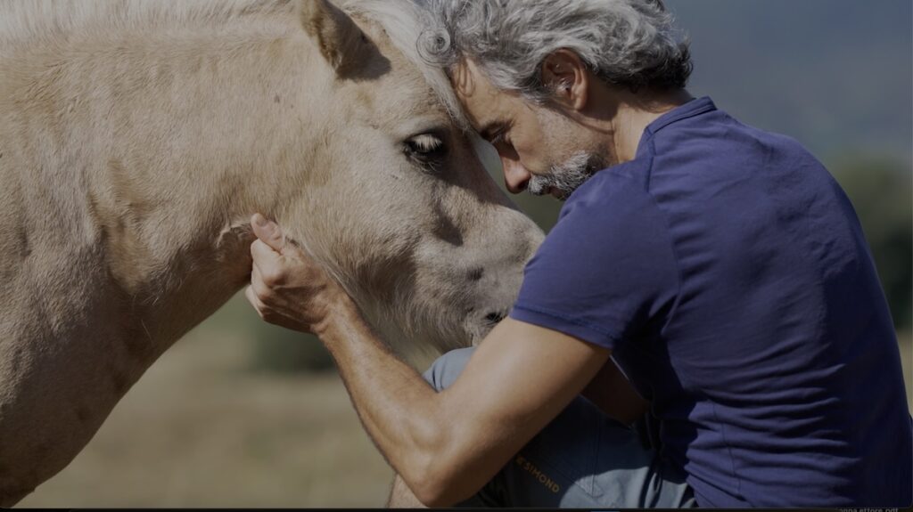 Davide Tonna abbraccia un cavallo teneramente