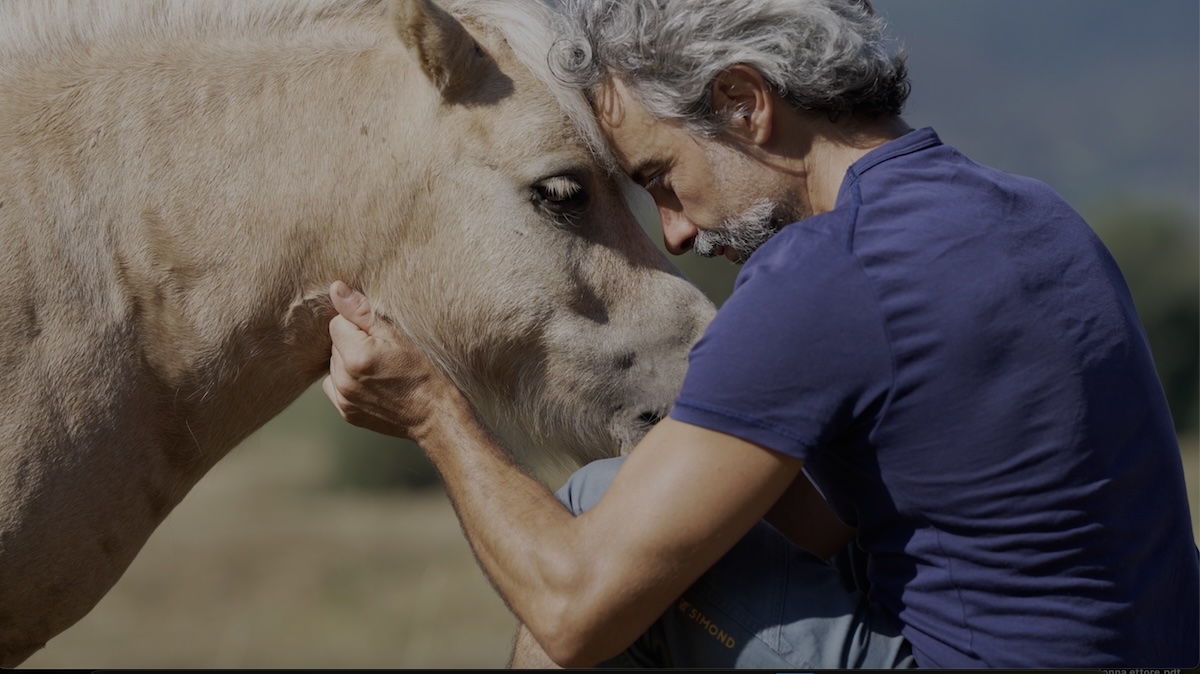 Davide Tonna abbraccia un cavallo teneramente