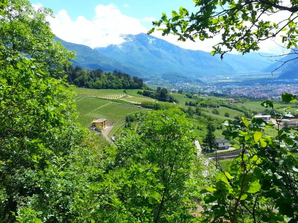 panorama con boschi e montagne sul b&b che ospiterà la giornata di costellazioni familiari a Trento
