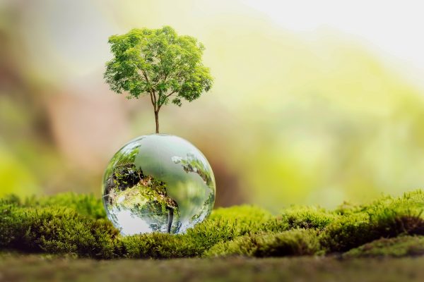 tree growth on globe glass in nature. concept eco earth day pianta che nasce da una goccia