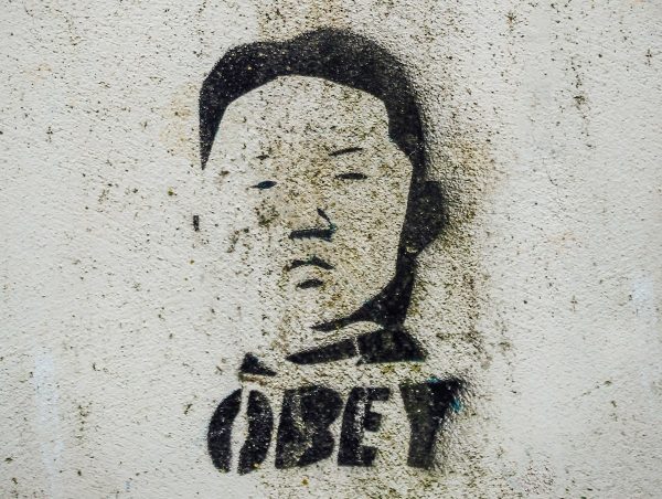 disegno su un muro del dittatore della Corea del Nord: anche se in dittatura non ci sono le elezioni politiche il governo rappresenta ugualmente a livello simbolico il suo popolo