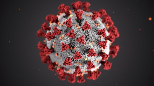 virus covid al microscopio. Da lui è iniziato cosa è successo nel 2020