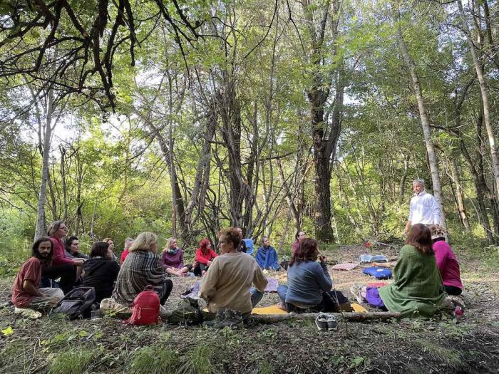 costellazioni familiari nel bosco copia un gruppo di persone vive le costellazioni familiari nel bosco sedute in cerchio