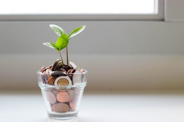 micheile-dot-com-SoT4-mZhyhE-unsplash piantina nasce da un bicchiere contenente monetine: il rapporto con i soldi nelle costellazioni familiari sottintende il rapporto con l'energia della vita