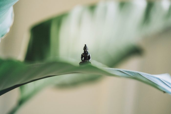 statuetta di Buddha su una foglia mima uno stato di presenza e meditazione